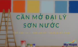 can mo dai ly son nuoc