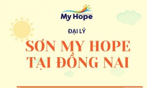 dai ly son my hope dong nai