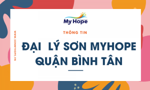 DAI LY SON ban do quan binh tan