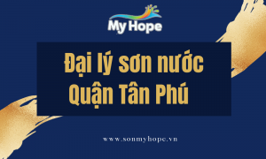 DAI LY SON ban do quan tan phu