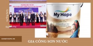 GIA CONG SON NUOC