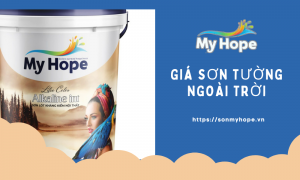 GIA SON TUONG NGOAI TROI