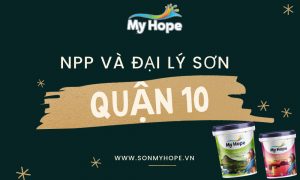 son myhope quan 10