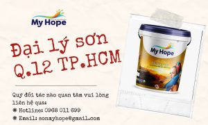 son myhope quan 12