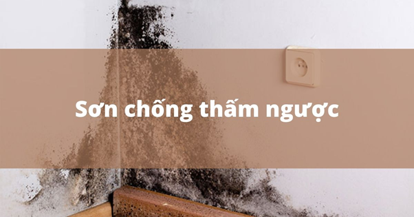 Sơn chống thấm ngược