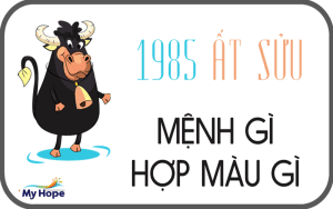 tuổi 1985 hợp màu sơn gì34