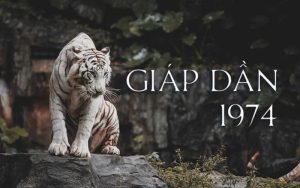 Tuổi giáp dần hợp màu sơn gì