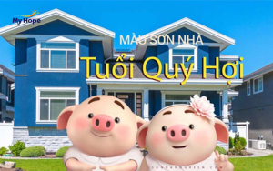 Tuổi quý hợi hợp sơn nhà màu gì